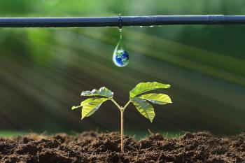 Damla Sulama Sistemleri